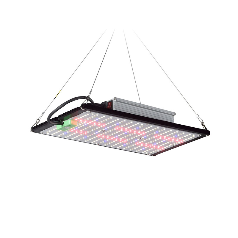 Grow Light Led - LED量子ボード育成ライト フルスペクトラム 吊り下げ式植物補助照明装置 室内温室用野菜・花用