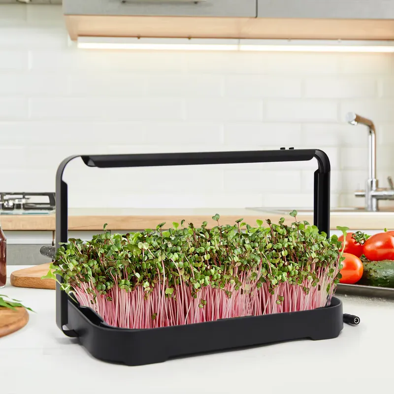 Hydroponic Kit - 水耕栽培トレイ 室内マイクログリーン マイクログリーン種子 発芽栽培システム 家庭菜園キット スマートプランター