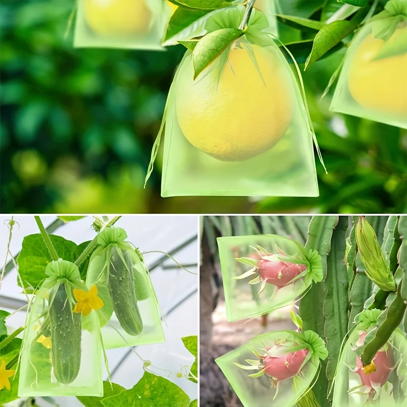 100個入り グリーン保護バッグ ジッパー付き、果樹用、植物 - Grow Bag のレビューと価格
