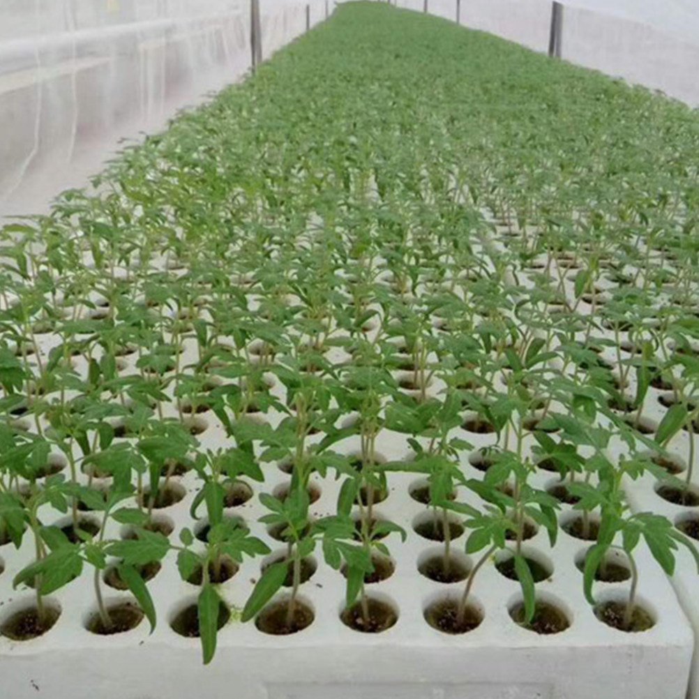 40個入り、土を使わない栽培用、水耕栽培用ウールキューブ、移 - Hydroponic Kit のレビューと価格