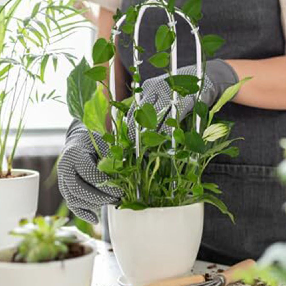 2 個アクリル U 字型植物ラックスタイリッシュな植物クライ - Indoor Herb Garden のレビューと価格