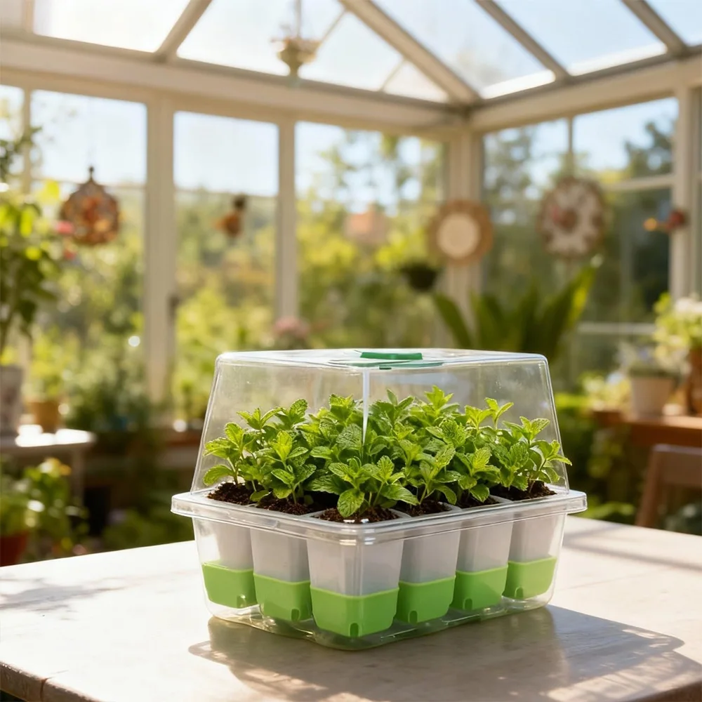 透明カバー付きで湿度調整が可能な、12マスの育苗トレー。室内 - Seed Starter Tray のレビューと価格