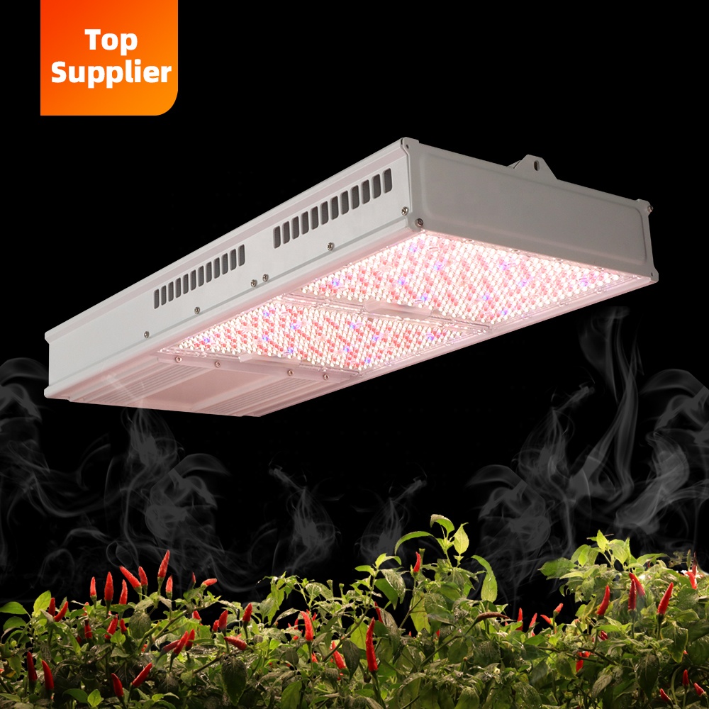 費用対効果の高い600W 800Wトップライトフルスペクトル - Grow Light Led のレビューと価格