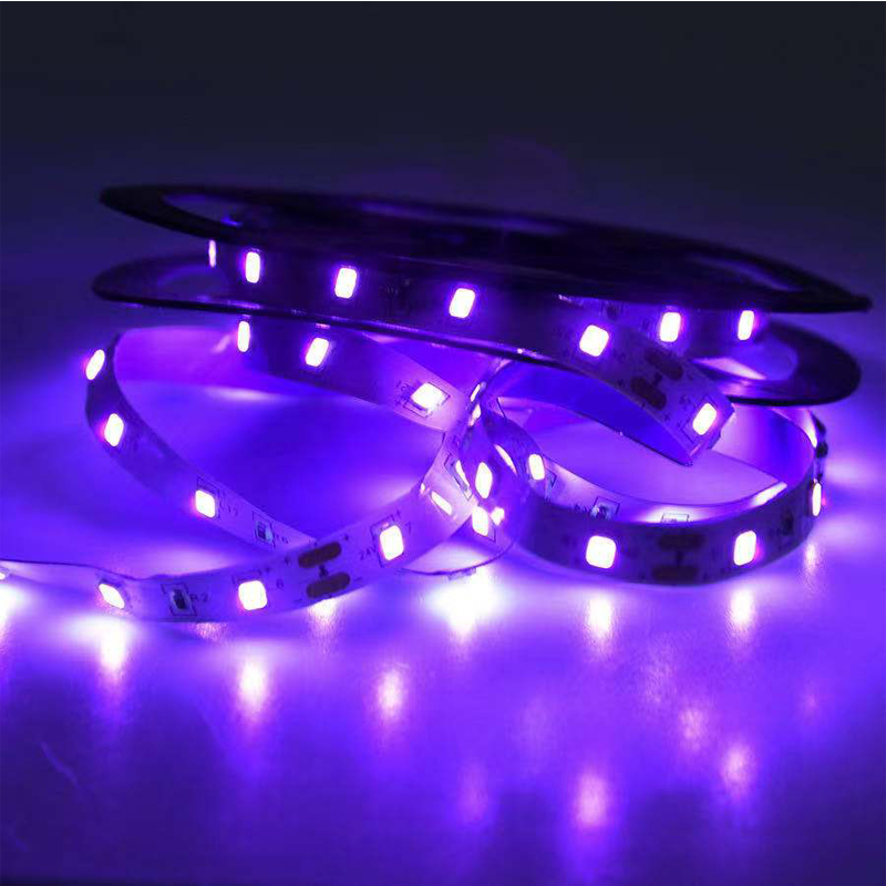 UV LED 紫外線ライト、ブラック UV ランプ、SMD  - Grow Light Led のレビューと価格