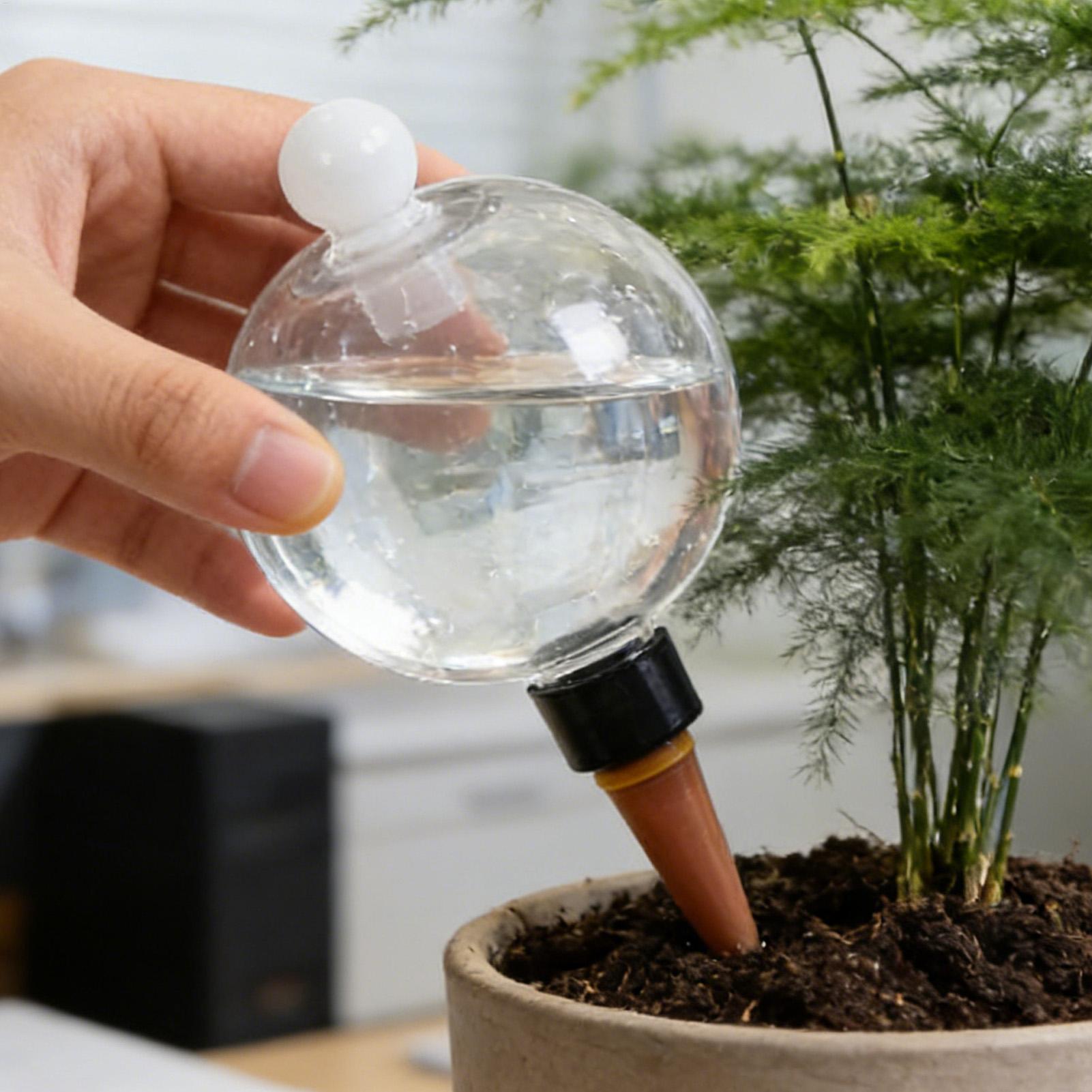 植物散水用ボール 4個入り 500ml 透明自動給水グローブ - Self Watering Planter のレビューと価格