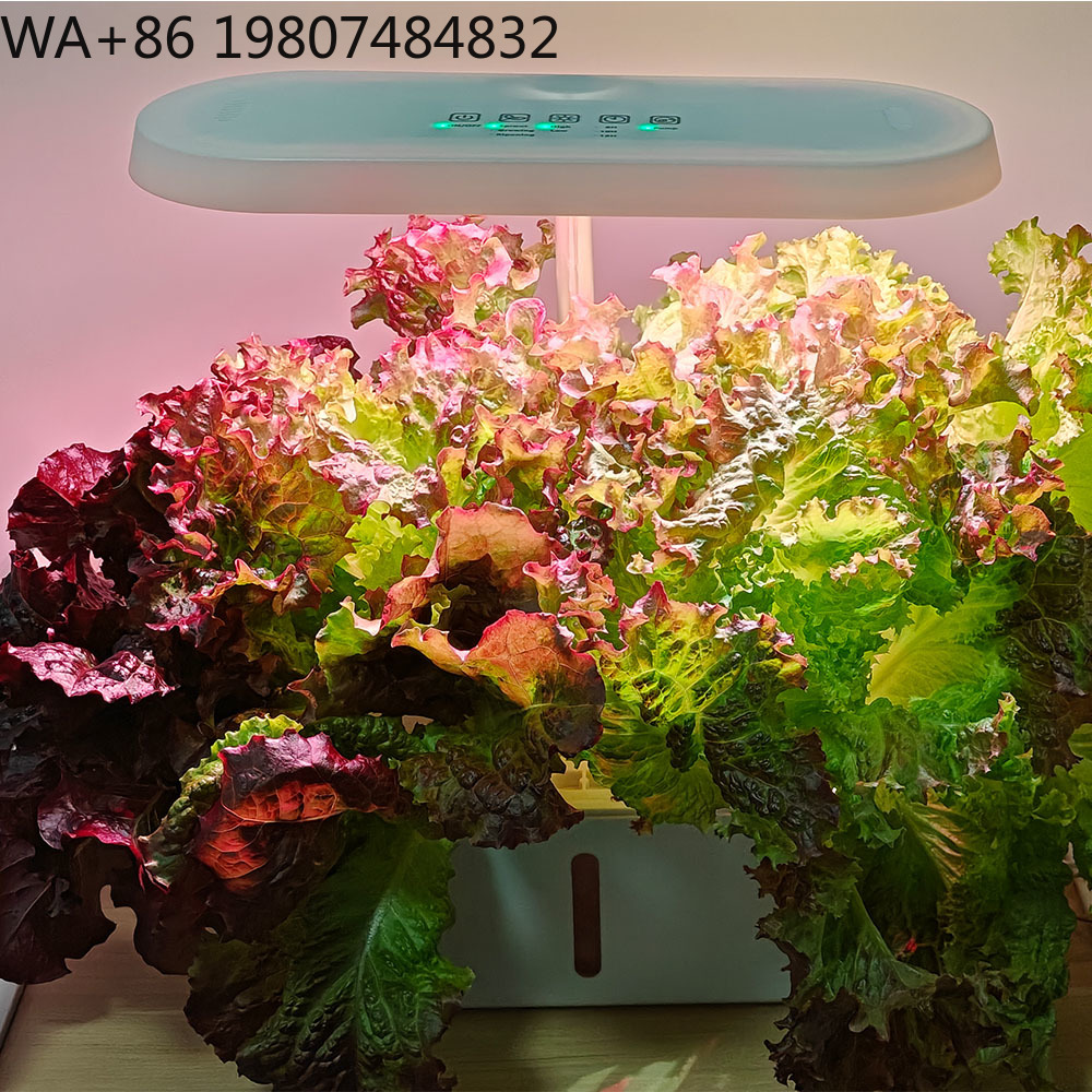 8穴サイレント循環式土壌不要栽培装置、インテリジェントタイミ - Hydroponic Kit のレビューと価格