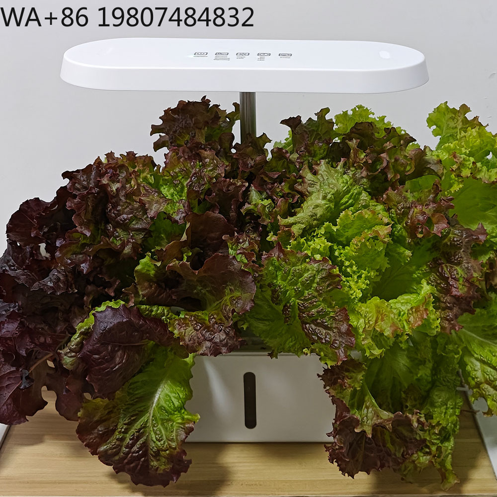 8穴サイレント循環式土壌不要栽培装置、インテリジェントタイミ - Hydroponic Kit のレビューと価格