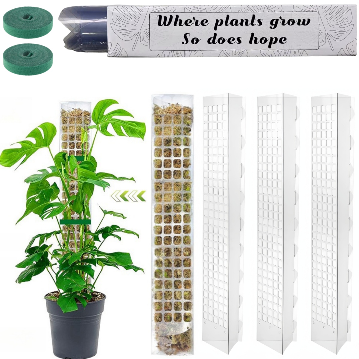 苔ポールプラスチック植物スタンド屋内登山植物ガーディアン家庭 - Indoor Herb Garden のレビューと価格