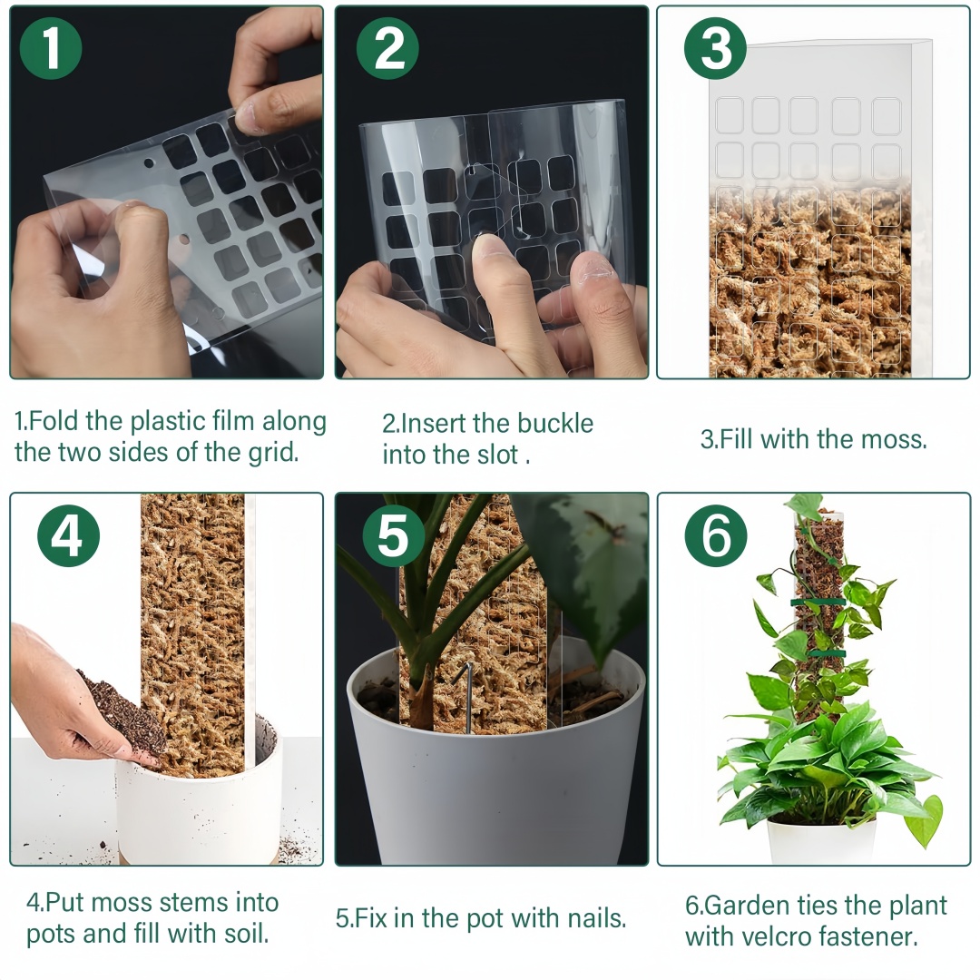 苔ポールプラスチック植物スタンド屋内登山植物ガーディアン家庭 - Indoor Herb Garden のレビューと価格