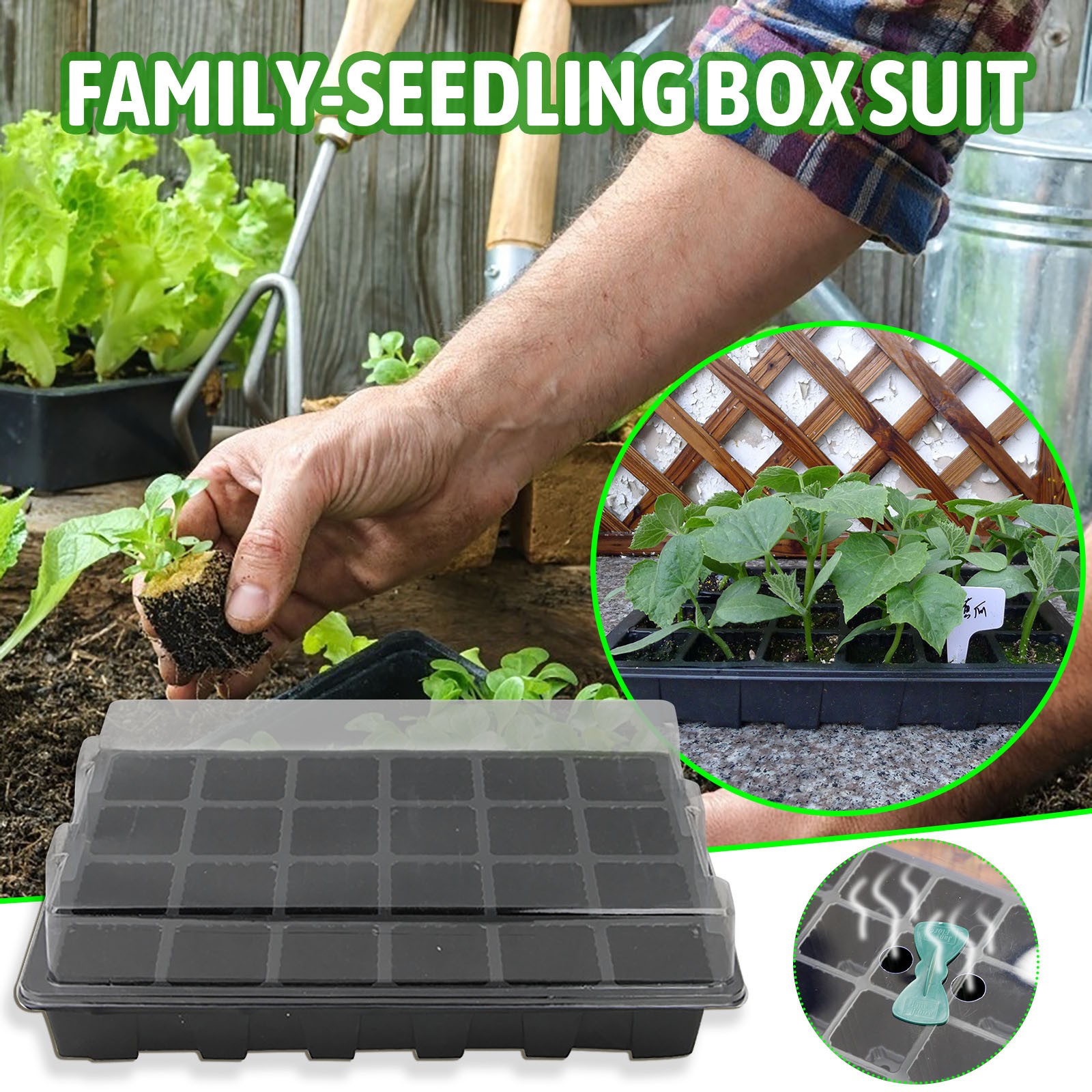 苗トレイ発芽ボックス、24個の細胞、2つの通気性のある穴、庭 - Seed Starter Tray のレビューと価格