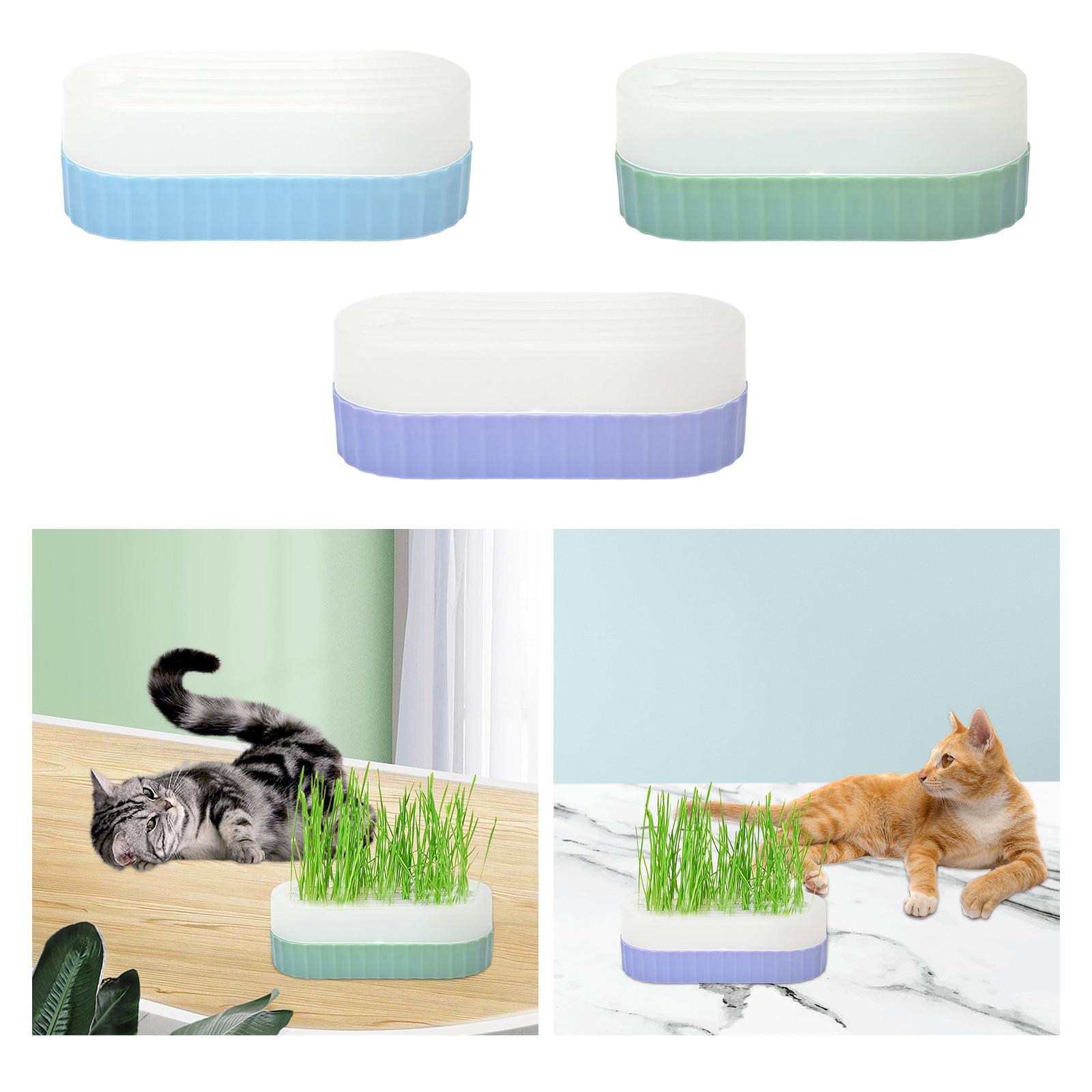 猫草栽培キット用の、水切り穴付きの育苗トレー。家庭菜園、オフ - Hydroponic Kit のレビューと価格
