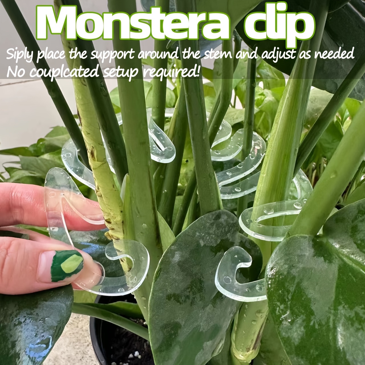 柔軟なプラスチック製のモンステラ植物サポートクリップ、垂直成 - Vertical Planter のレビューと価格