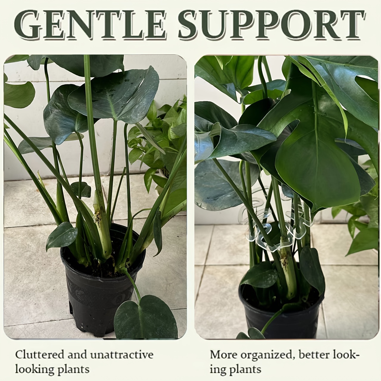 柔軟なプラスチック製のモンステラ植物サポートクリップ、垂直成 - Vertical Planter のレビューと価格