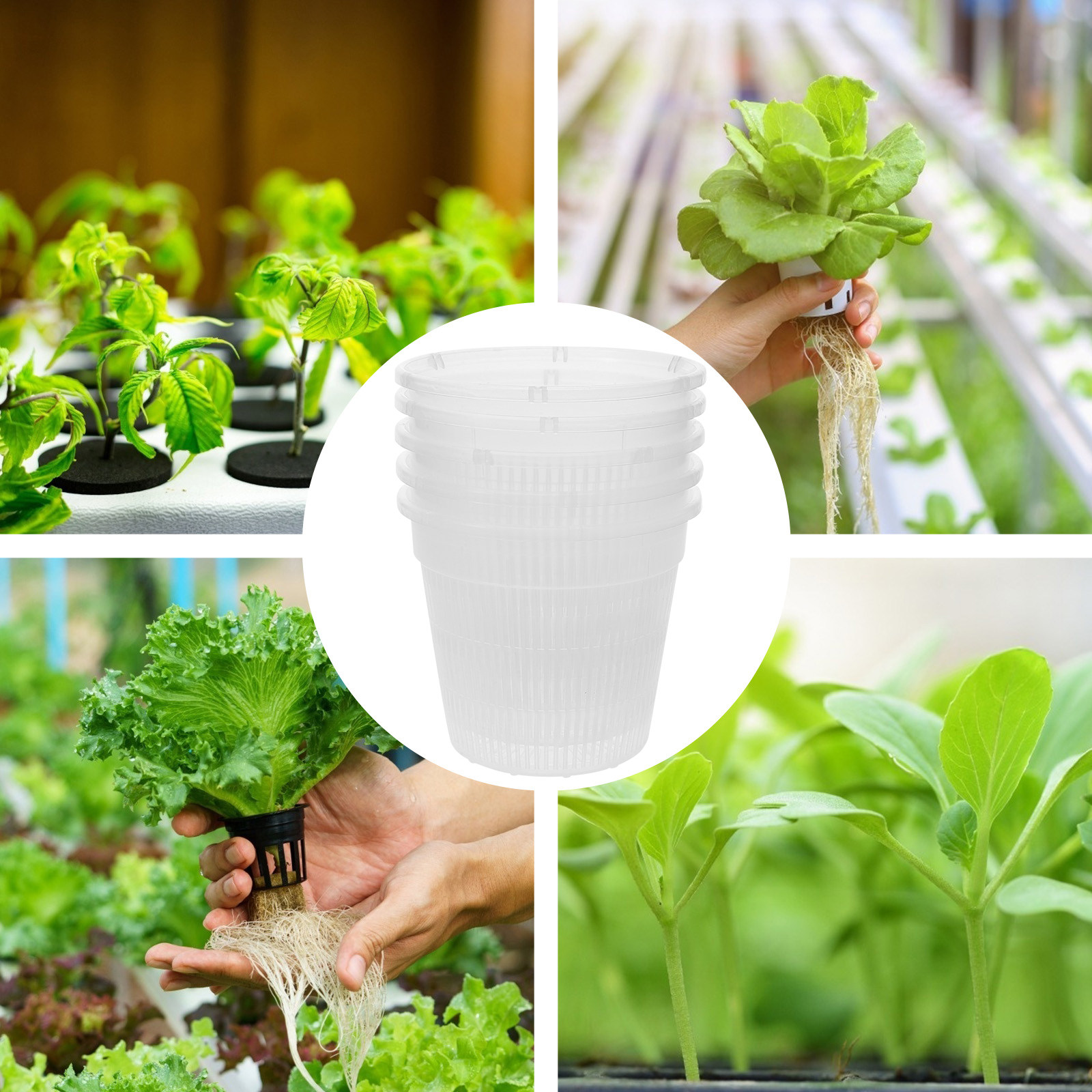 5個入り、水耕栽培用ネットポット、プラスチック製バスケット、 - Plant Pot のレビューと価格