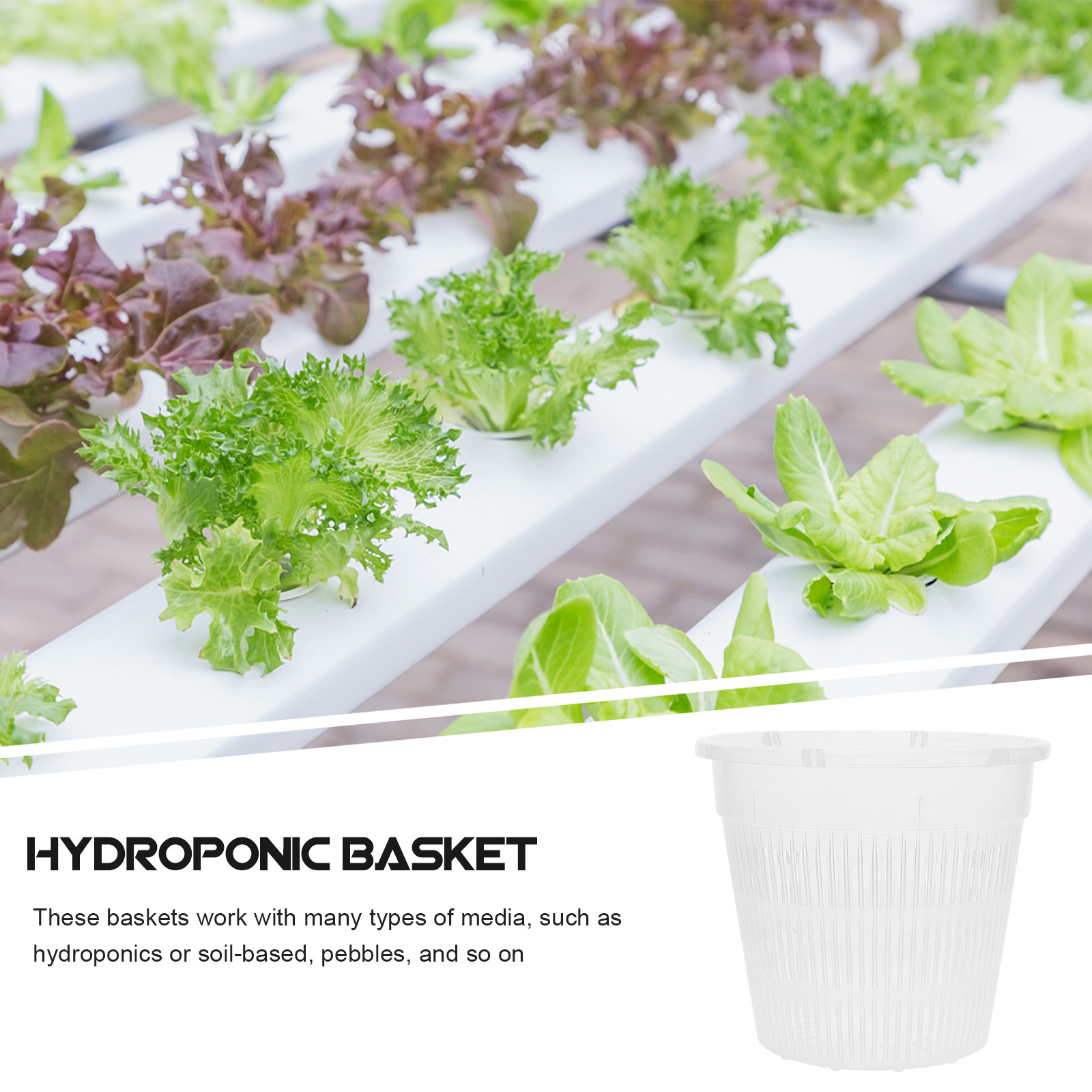 5個入り、水耕栽培用ネットポット、プラスチック製バスケット、 - Plant Pot のレビューと価格