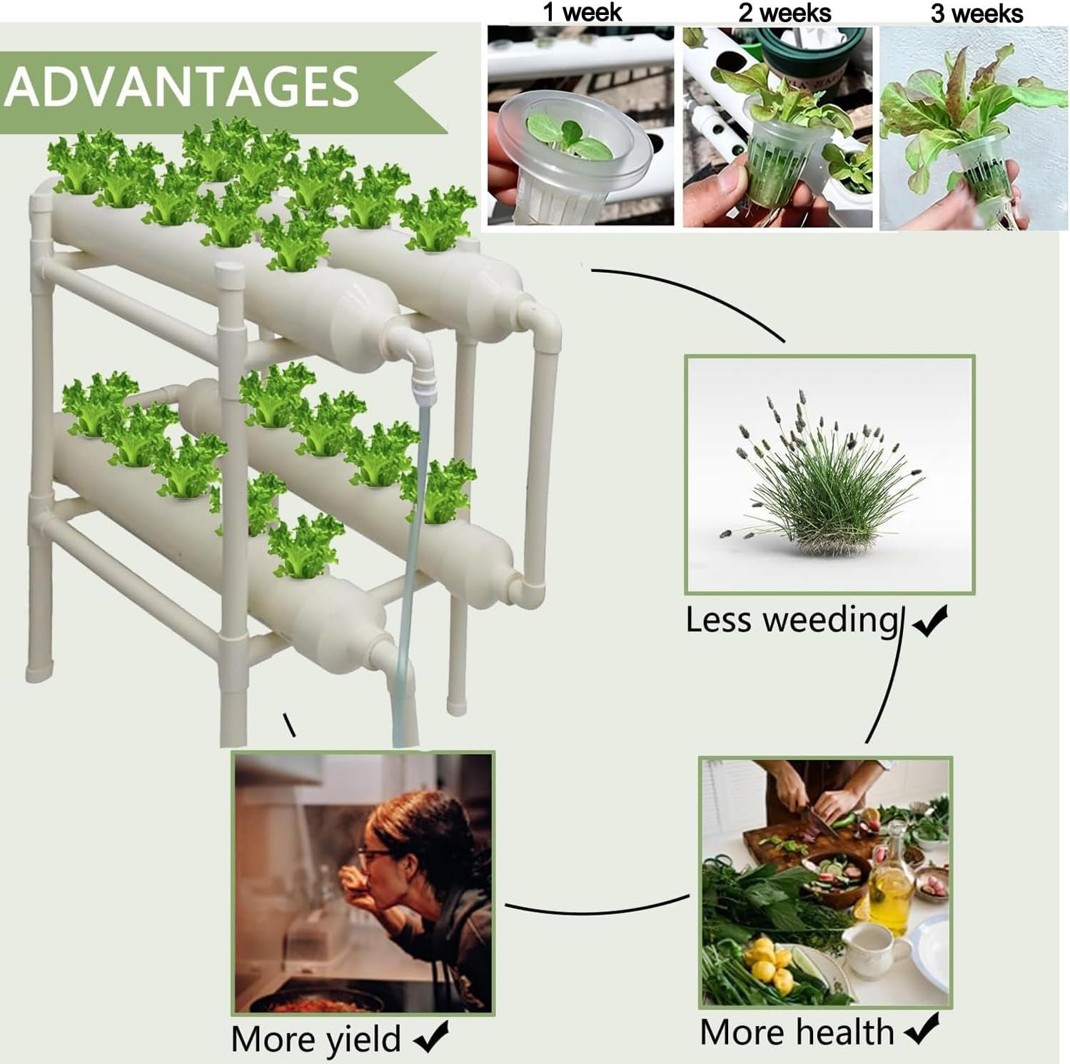 水耕栽培システム 20穴 4パイプ 2層 植物栽培キット 1 - Hydroponic Kit のレビューと価格