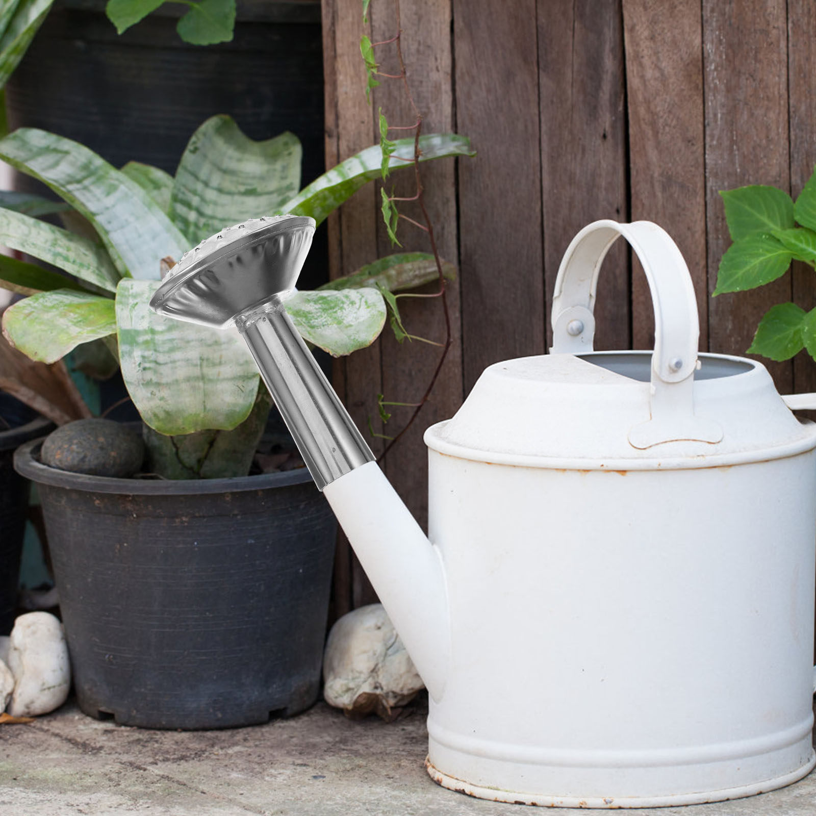 ステンレス製の水やり用スプレーヘッド。耐久性に優れ、取り付け - Watering Can のレビューと価格