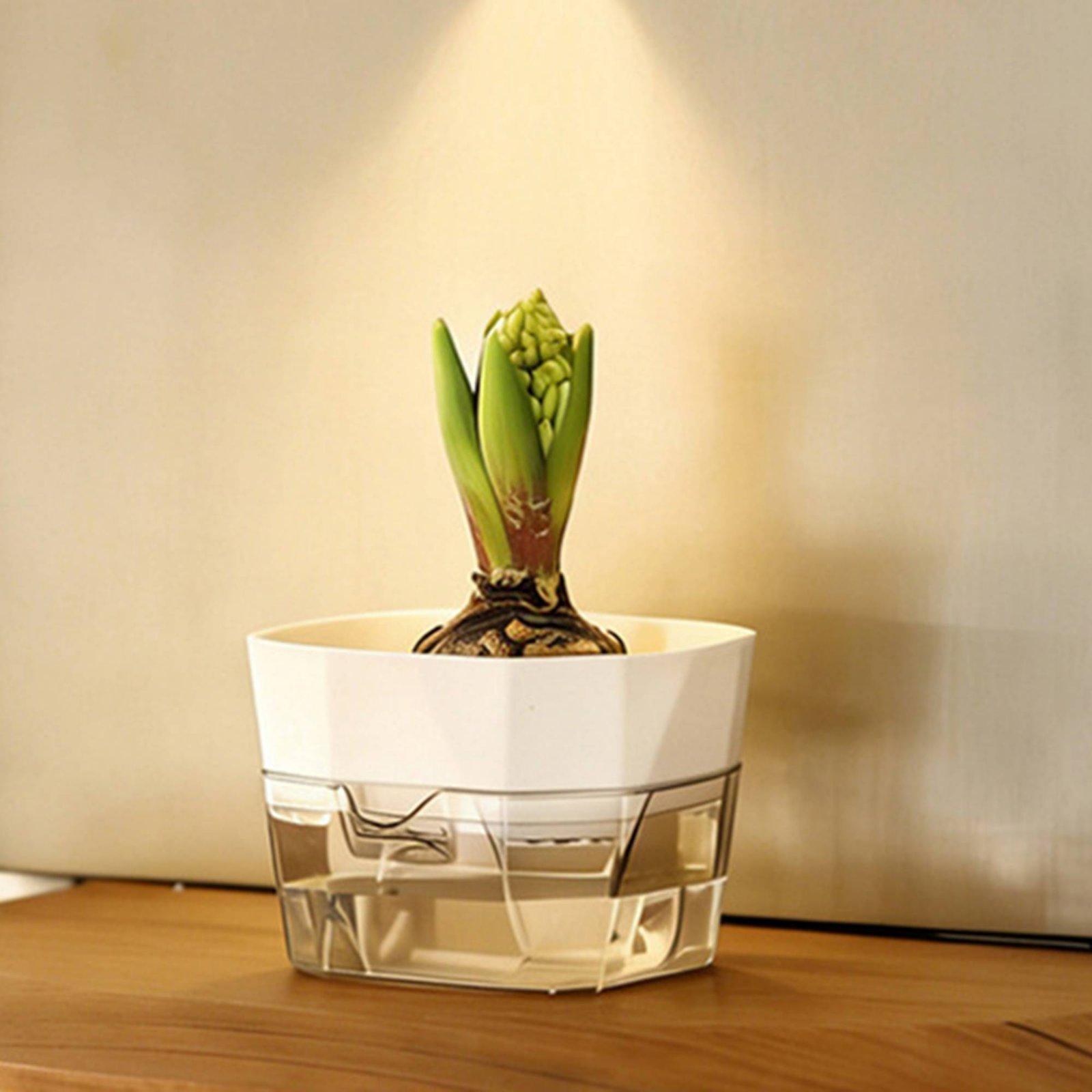 水耕栽培用花瓶 二層式自動給水プランター 透明PET製植木鉢 - Plant Pot のレビューと価格