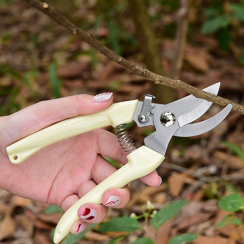 省力型ガーデン剪定鋏、枝、花茎、果樹の剪定用プロ用ハンドプル - Pruning Shears のレビューと価格