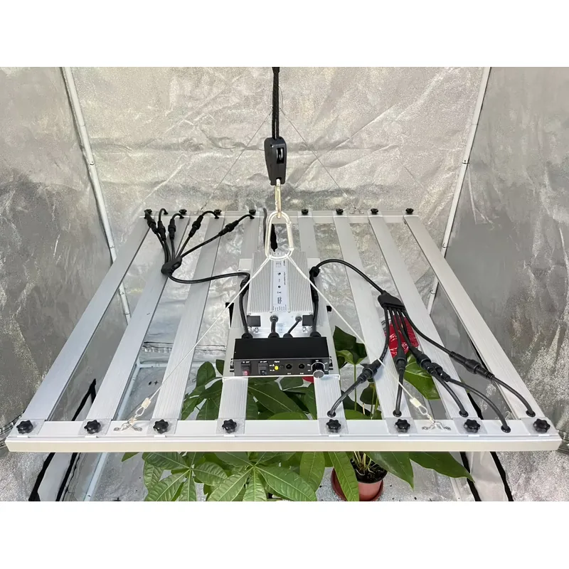 600W育成ライト用ドライバー Inventronics 0 - Grow Light Led のレビューと価格