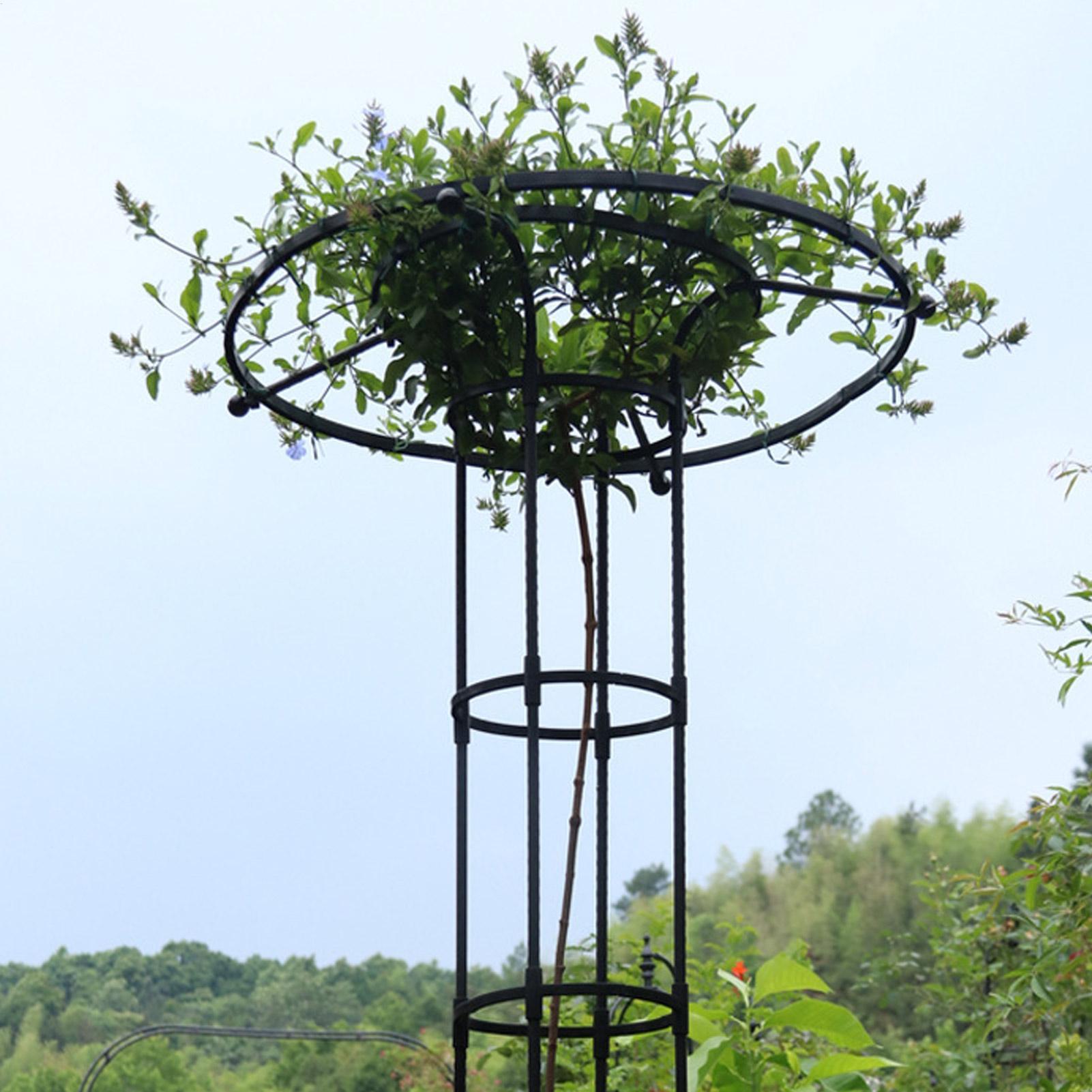 ガーデン用トレリス傘型タワー、つる性植物用トレリス、DIYト - Vertical Planter のレビューと価格