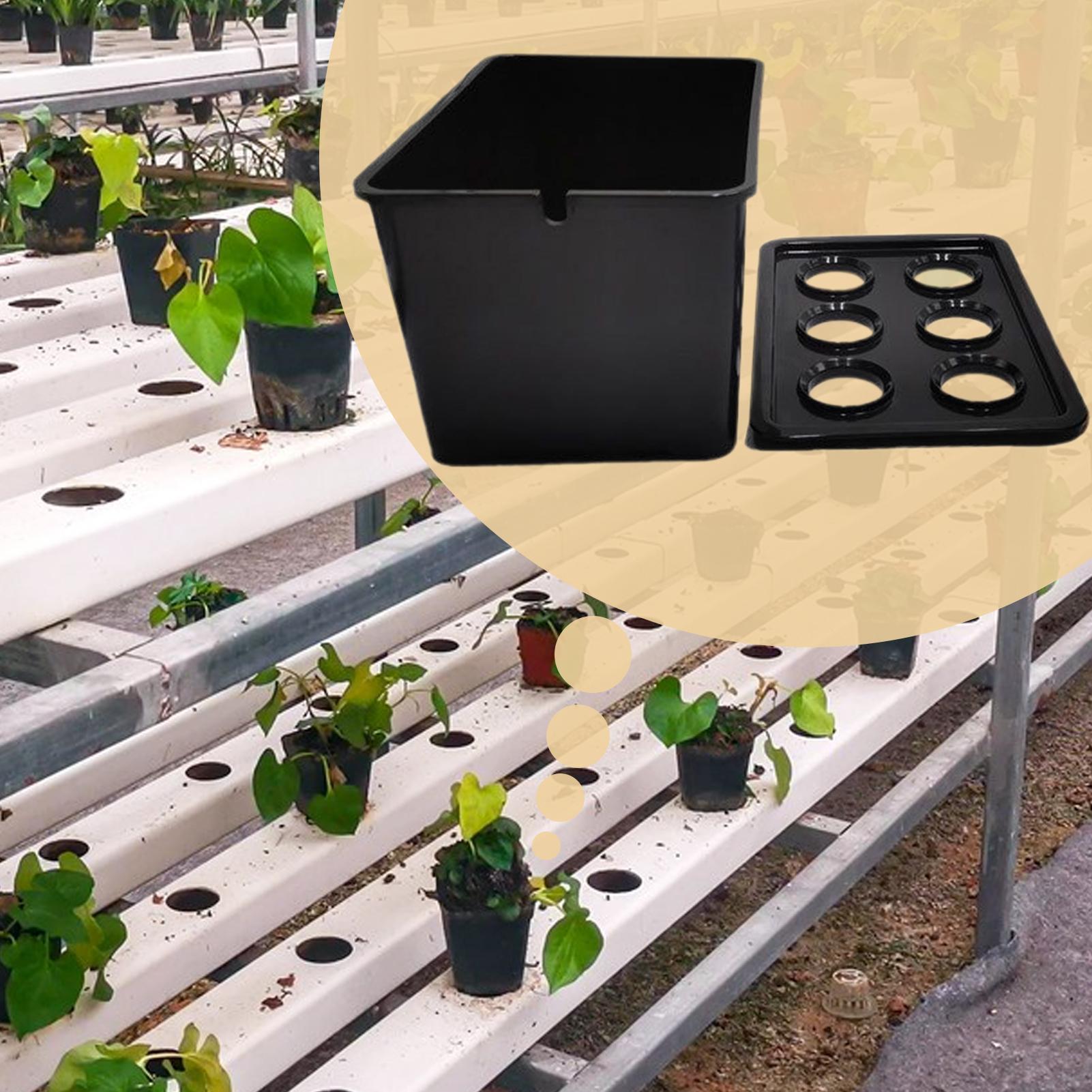 水耕栽培キット 初心者向け機器 家庭用水耕栽培苗システム レ - Hydroponic Kit のレビューと価格