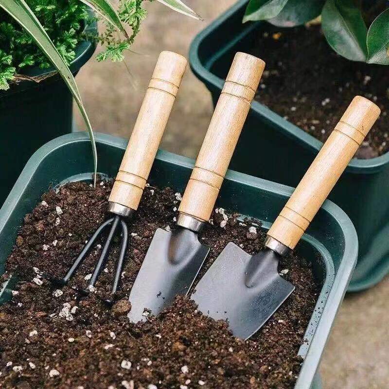 3PC/1 セットミニガーデニングツールセットポータブル小型 - Indoor Herb Garden のレビューと価格