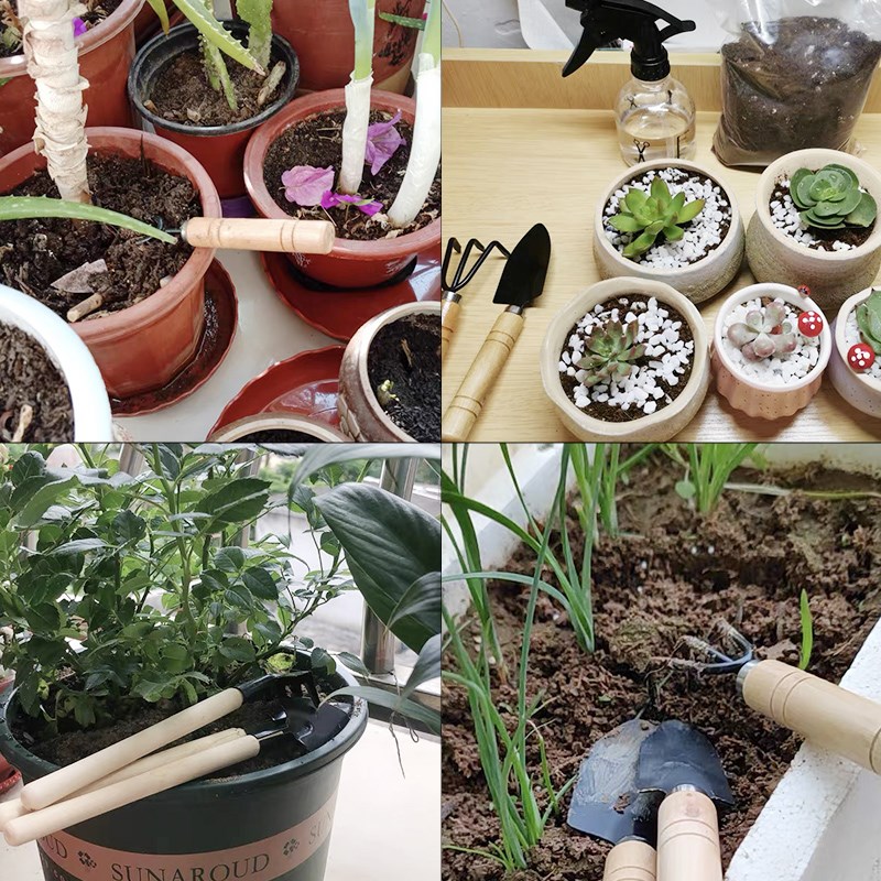 3PC/1 セットミニガーデニングツールセットポータブル小型 - Indoor Herb Garden のレビューと価格