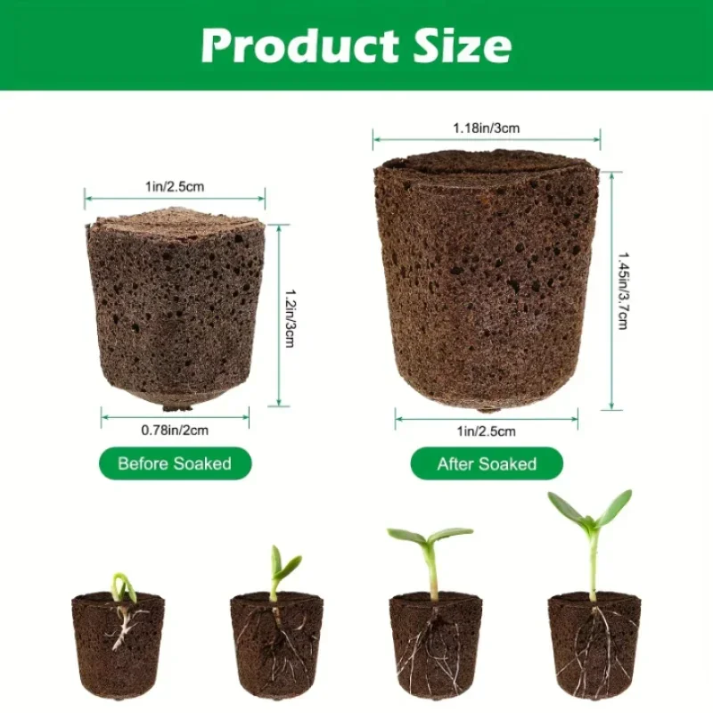水耕栽培室内庭園システム用苗スタータースポンジキット、成長ス - Hydroponic Kit のレビューと価格