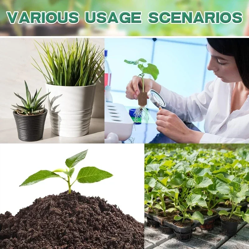 水耕栽培室内庭園システム用苗スタータースポンジキット、成長ス - Hydroponic Kit のレビューと価格