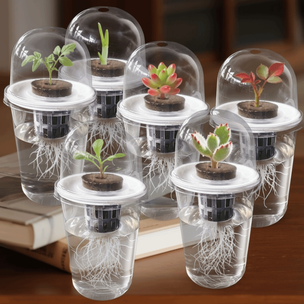 1～5個入り 透明な植物発芽カップ 水耕栽培種子プランターポ - Seed Starter Tray のレビューと価格