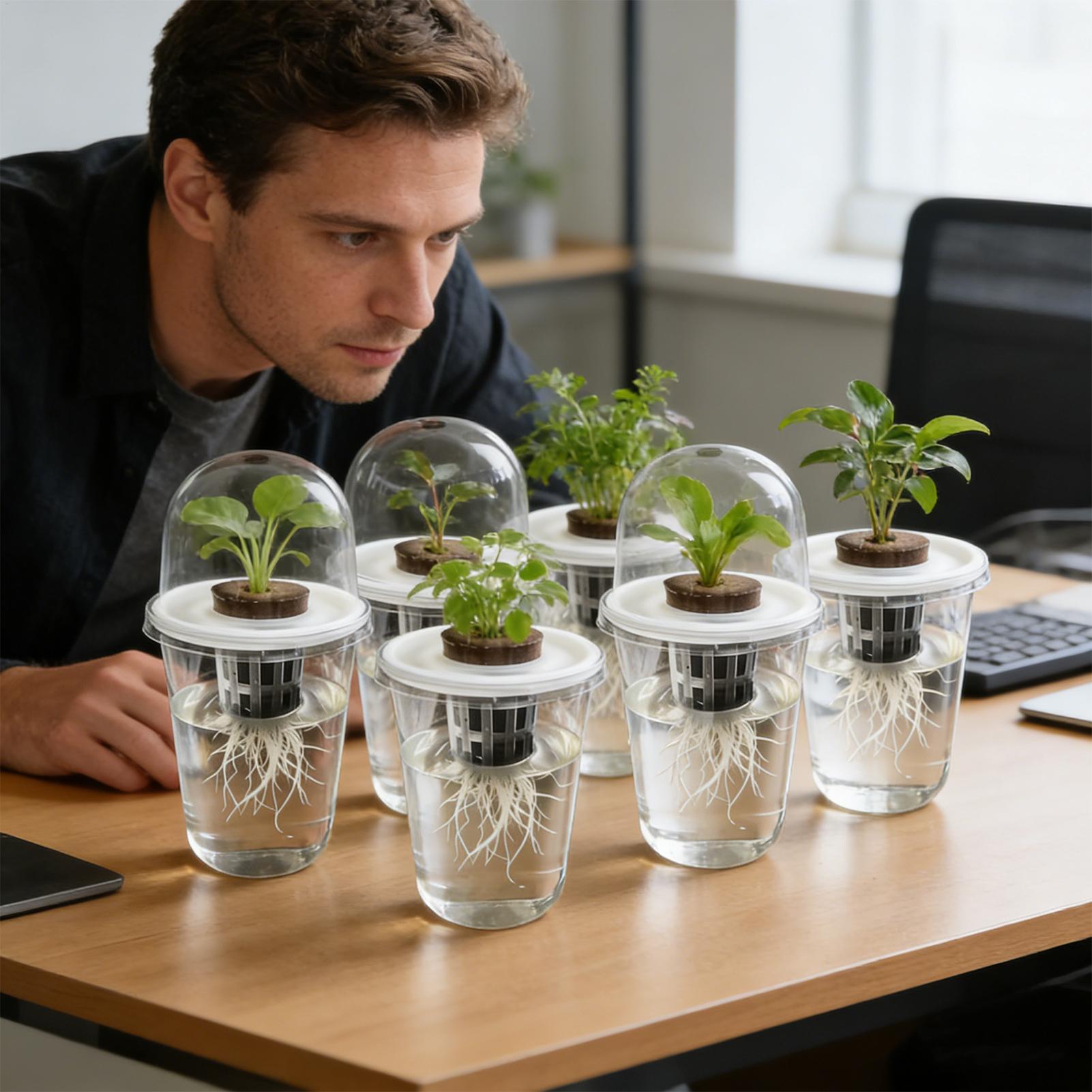 1～5個入り 透明な植物発芽カップ 水耕栽培種子プランターポ - Seed Starter Tray のレビューと価格
