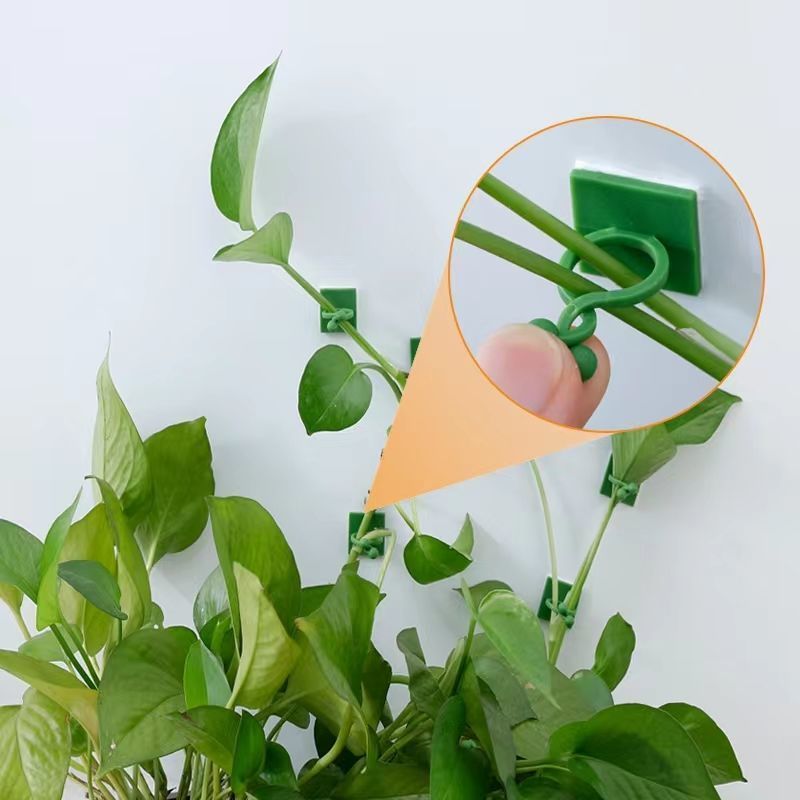 自己粘着式植物クライミングウォール固定クリップ、つる性植物固 - Indoor Herb Garden のレビューと価格