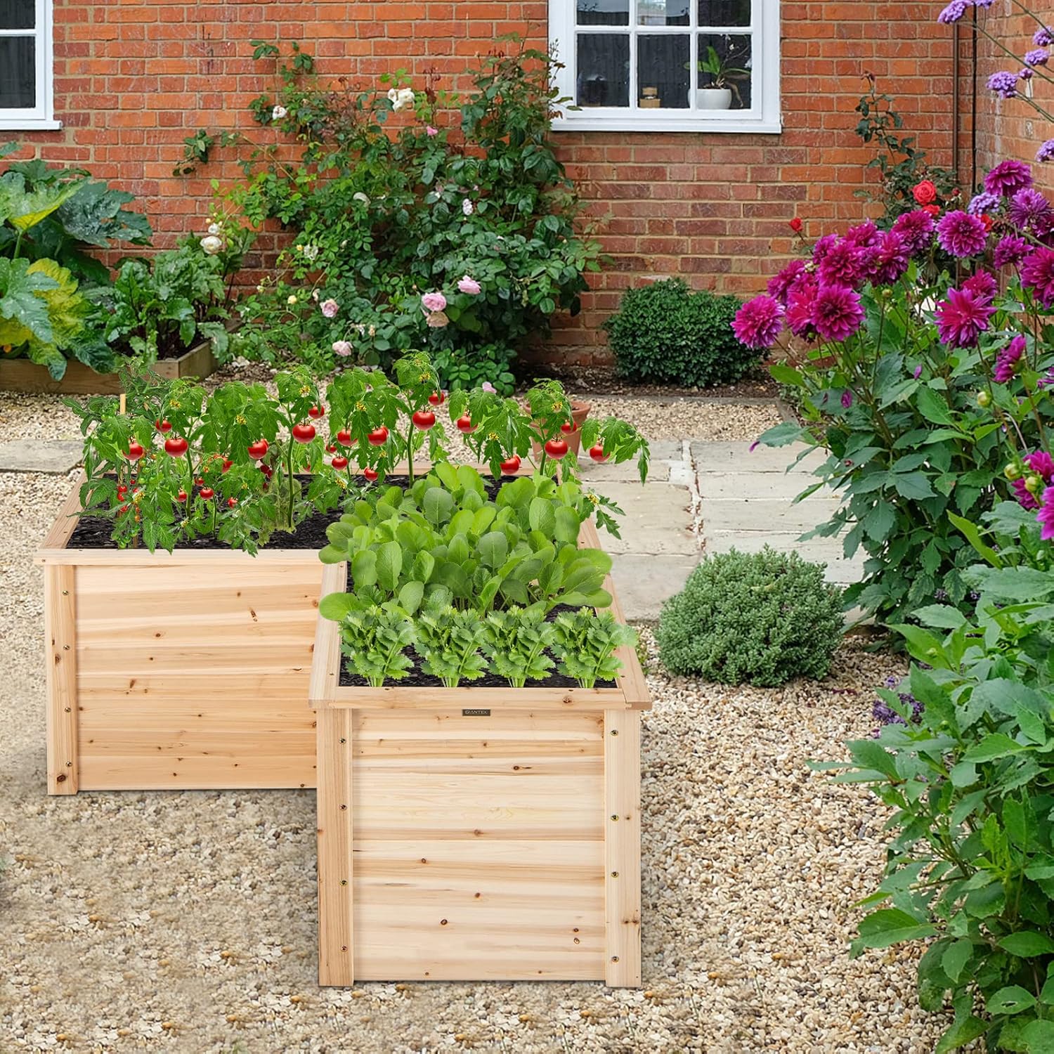 屋外用無垢材製高床式菜園（パティオや裏庭用）、47.5インチ - Raised Garden Bed のレビューと価格