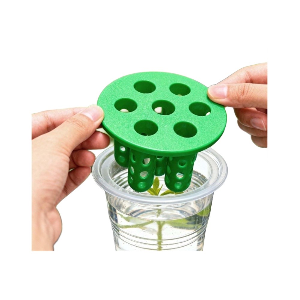 4個入りネギ再生発芽キット：窓辺用ネギ栽培容器/プランター  - Hydroponic Kit のレビューと価格