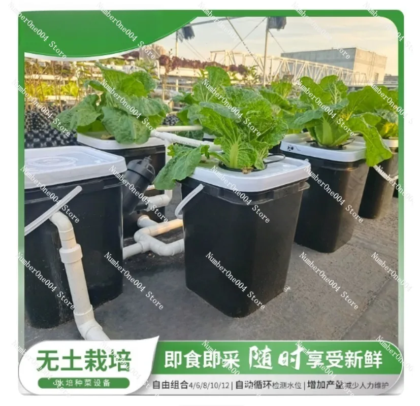 RDWC家庭用バルコニー水耕栽培キット、4+1 & 8+1バ - Hydroponic Kit のレビューと価格