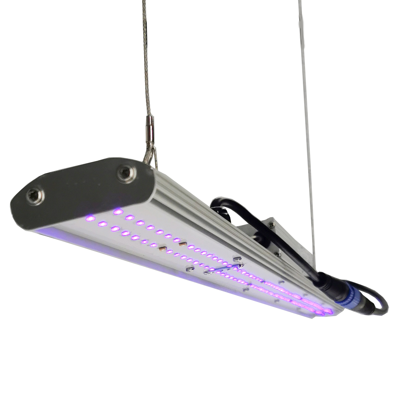 DANSE LED手動調光式LED育成ライト30W 2フィー - Grow Light Led のレビューと価格