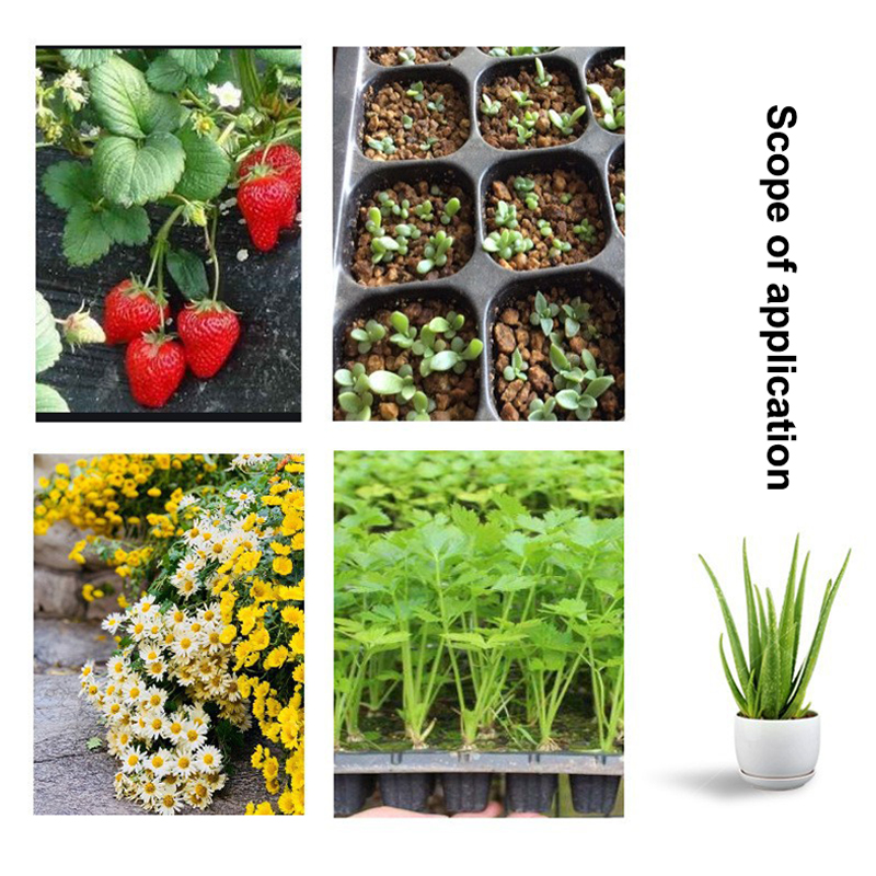 ホット10個入り苗トレイ プラスチック製園芸発芽トレイ 黒色 - Seed Starter Tray のレビューと価格