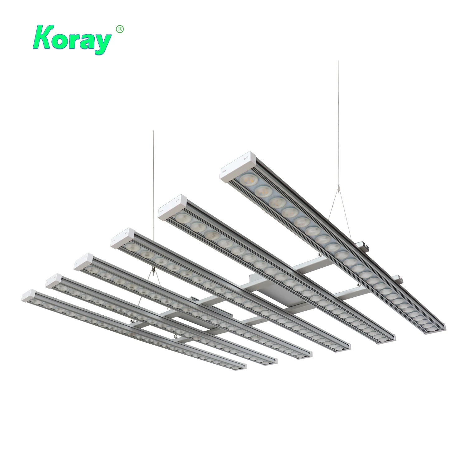 コレイ 900W 室内用フルスペクトル植物育成ライト LED - Grow Light Led のレビューと価格