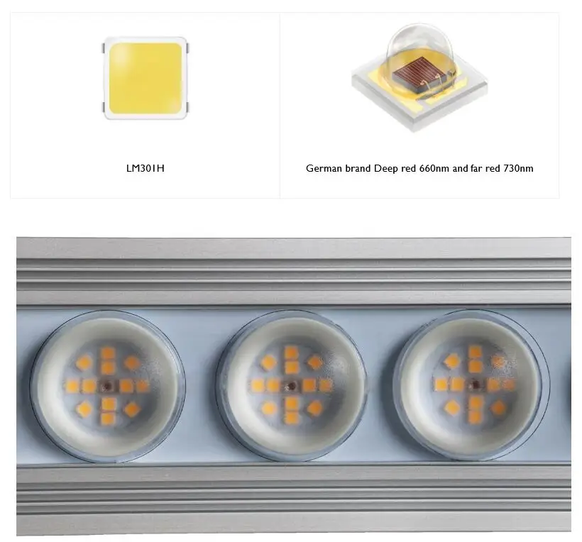 コレイ 900W 室内用フルスペクトル植物育成ライト LED - Grow Light Led のレビューと価格