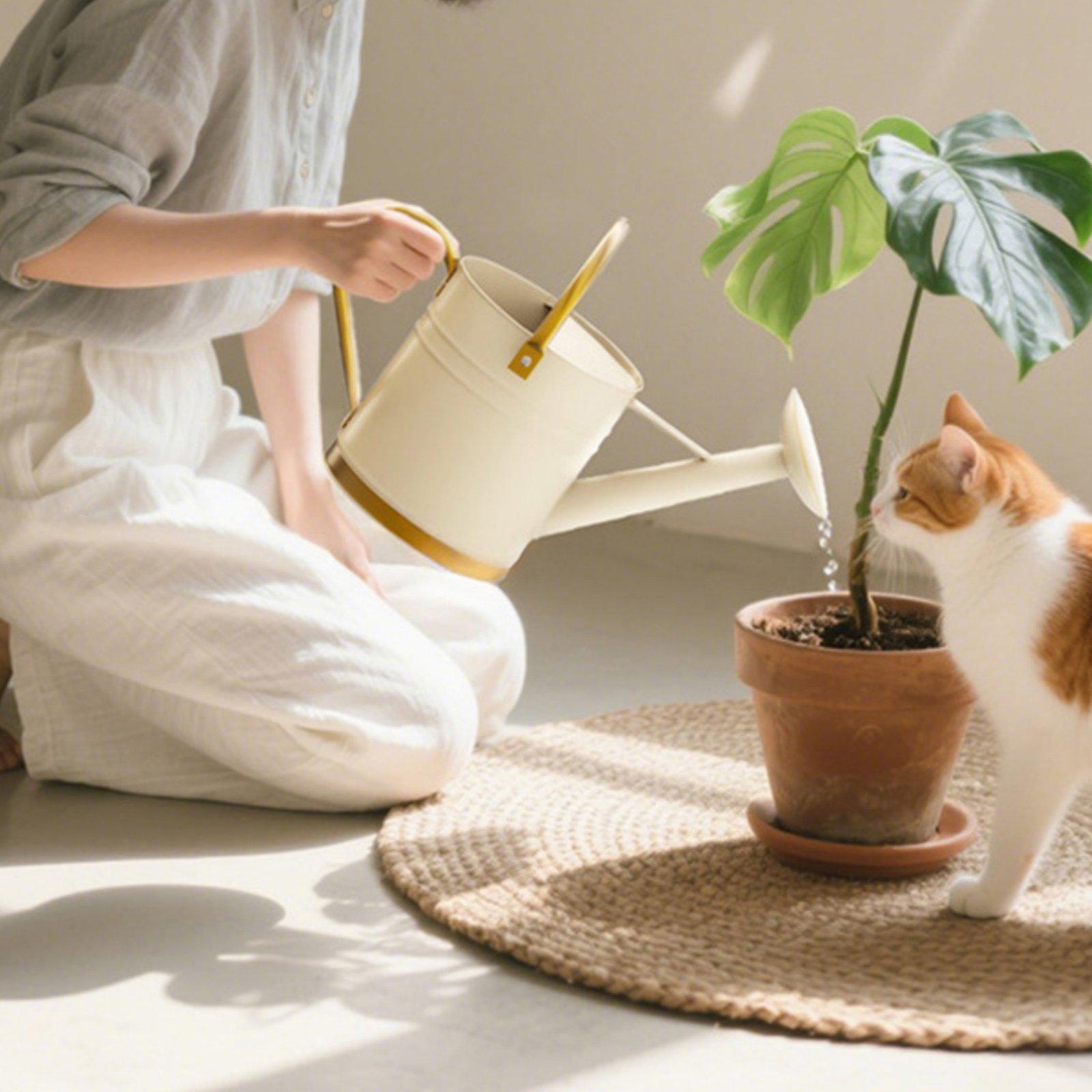 長い注ぎ口の水まき缶、漏れ防止金属製水まきポット、バルコニー - Watering Can のレビューと価格