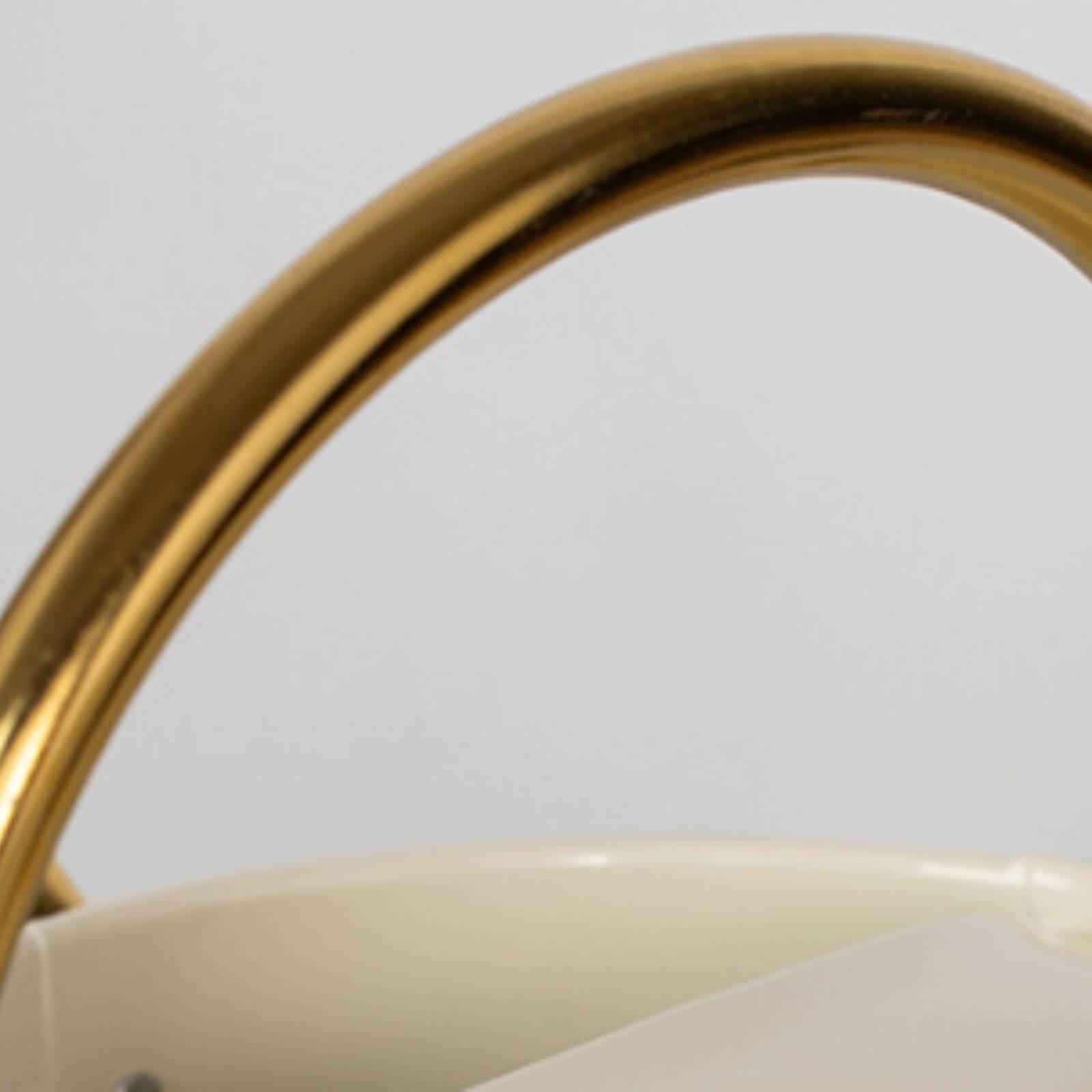 長い注ぎ口の水まき缶、漏れ防止金属製水まきポット、バルコニー - Watering Can のレビューと価格