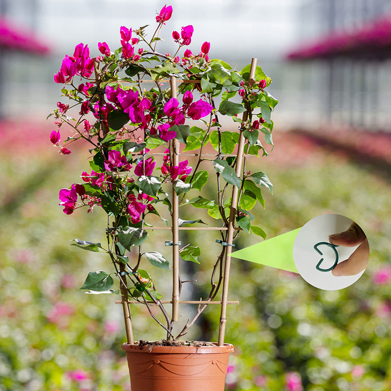 50/100個入り ガーデン植物クリップ つる性植物用垂直栽 - Vertical Planter のレビューと価格