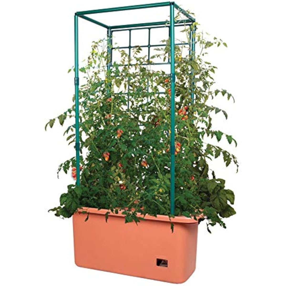GCTRトマト栽培システム 10ガロンプランター、4フィート - Vertical Planter のレビューと価格