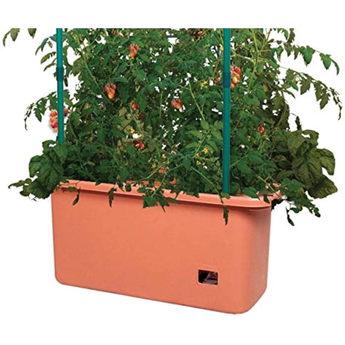 GCTRトマト栽培システム 10ガロンプランター、4フィート - Vertical Planter のレビューと価格