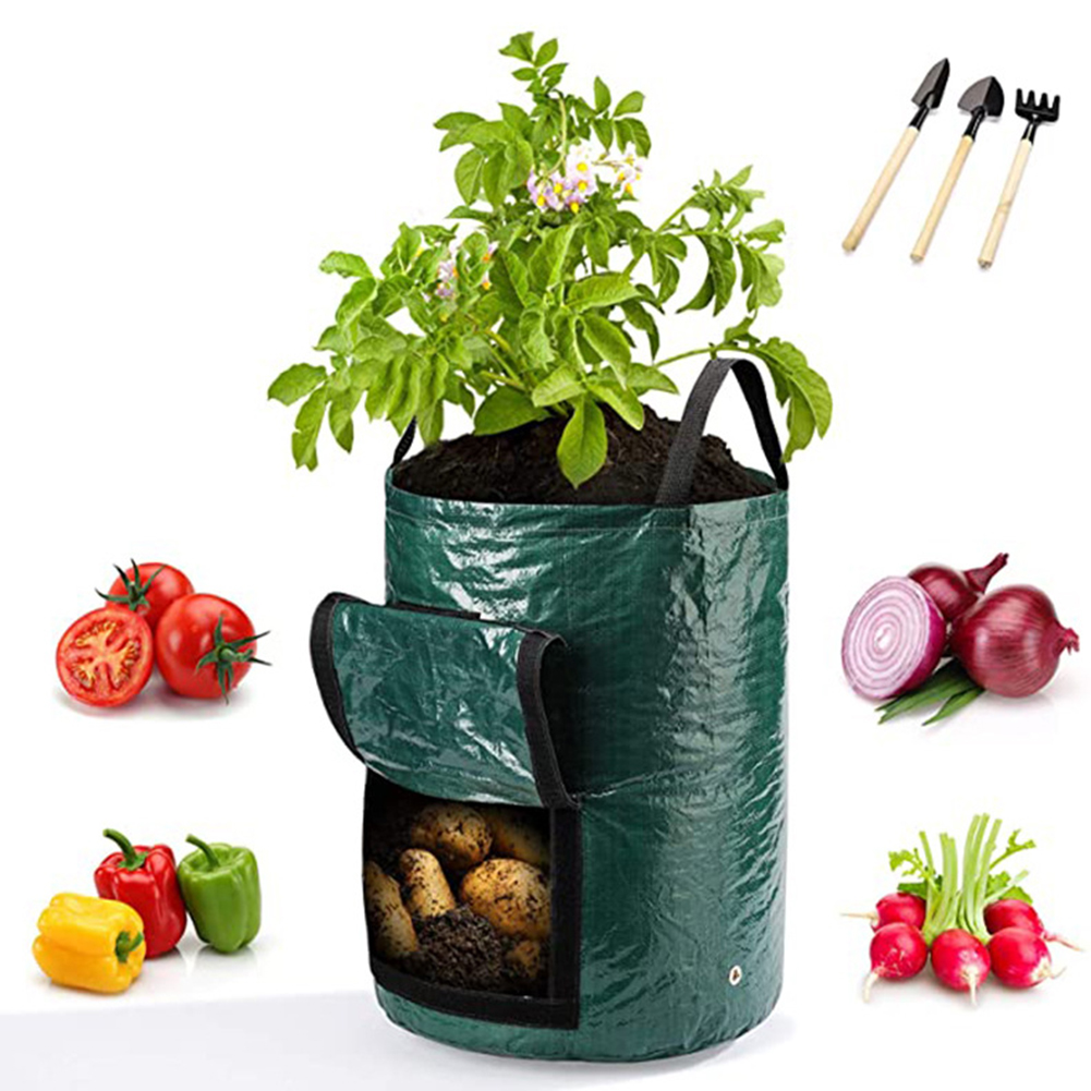 1pc 10 ガロン栽培バッグ野菜植物用ハンドル付きポット植 - Grow Bag のレビューと価格